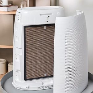 Атоми Антибактериальный комбинированный фильтр (средний) (1шт)